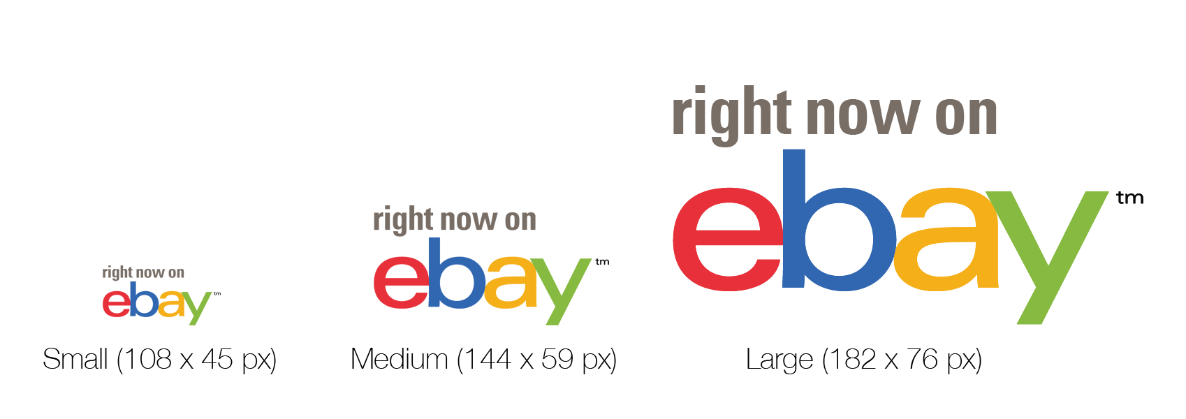 ebay inc logo white